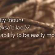 Image explaining the meaning of the noun "flexibility"