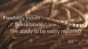 Image explaining the meaning of the noun "flexibility"