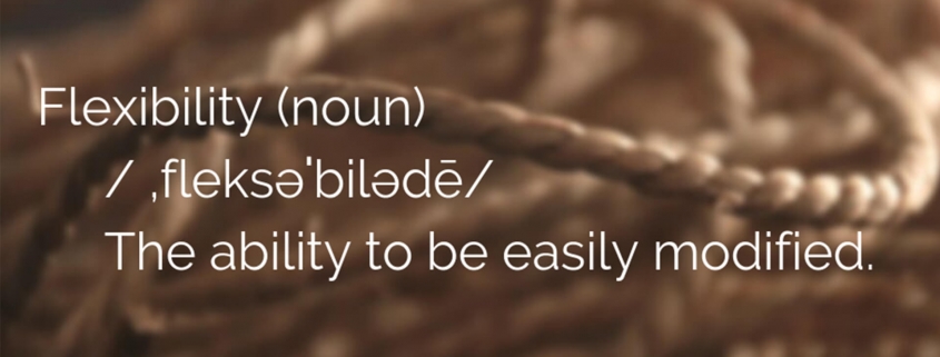 Image explaining the meaning of the noun "flexibility"